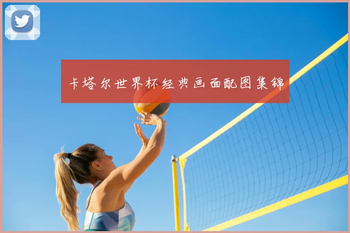 卡塔尔世界杯经典画面配图集锦