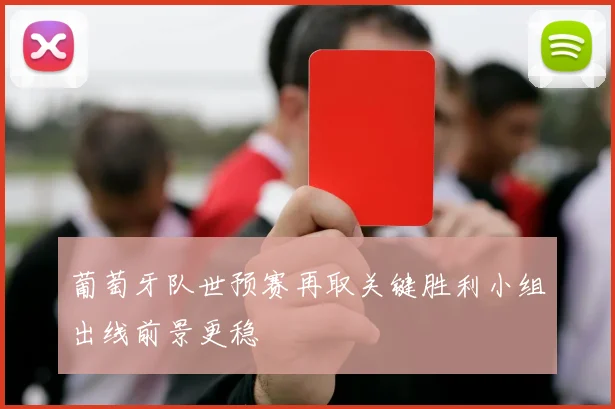 葡萄牙队世预赛再取关键胜利小组出线前景更稳