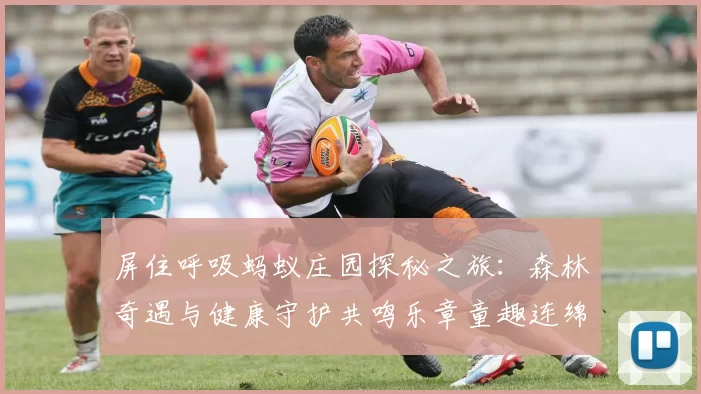 屏住呼吸蚂蚁庄园探秘之旅：森林奇遇与健康守护共鸣乐章童趣连绵长