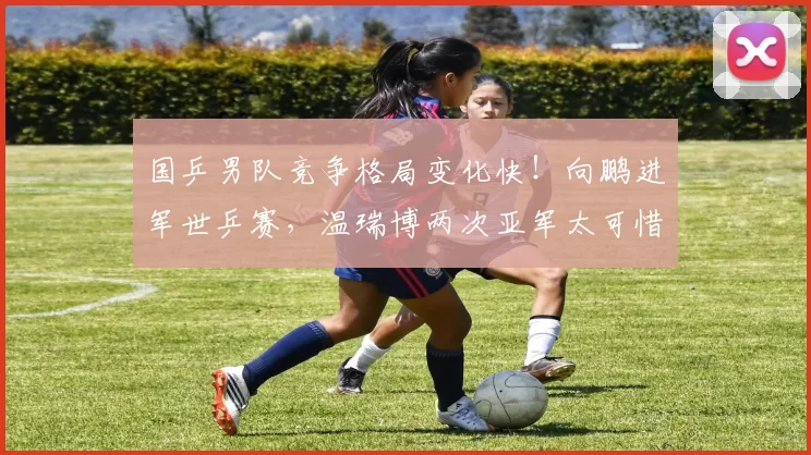 国乒男队竞争格局变化快！向鹏进军世乒赛，温瑞博两次亚军太可惜