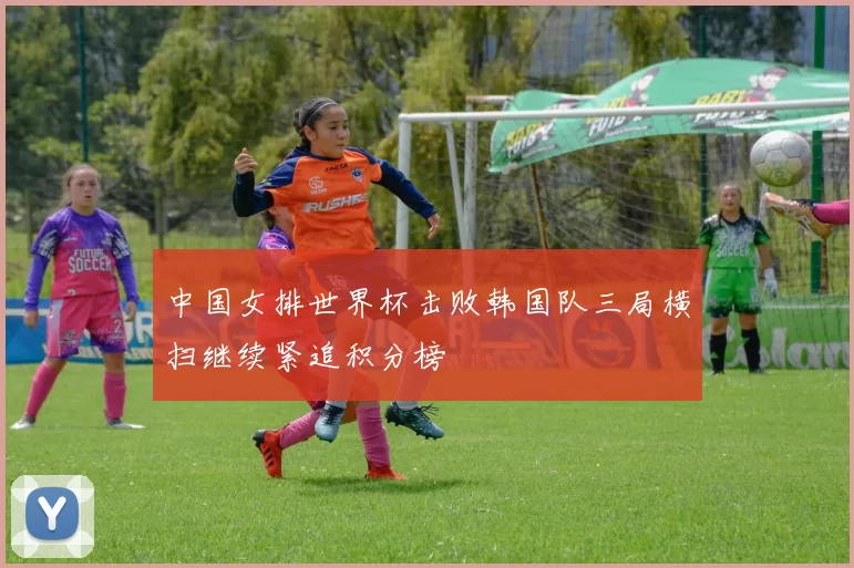 中国女排世界杯击败韩国队三局横扫继续紧追积分榜